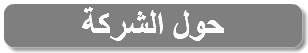 حول الشركة